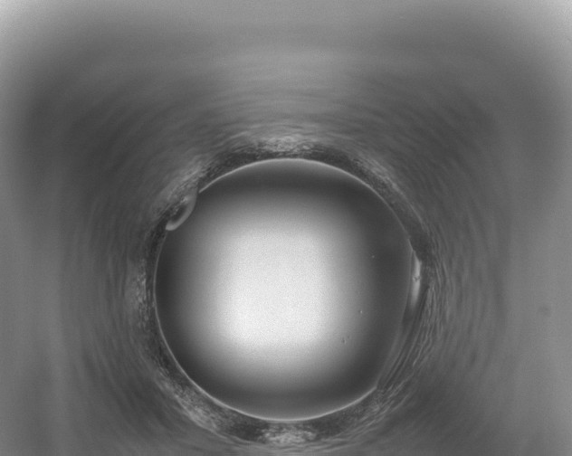 X0000054390407200508051653