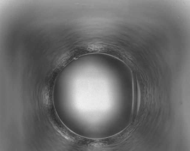 X0000054390408200508051653