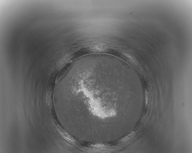 X0000054390409200508051652