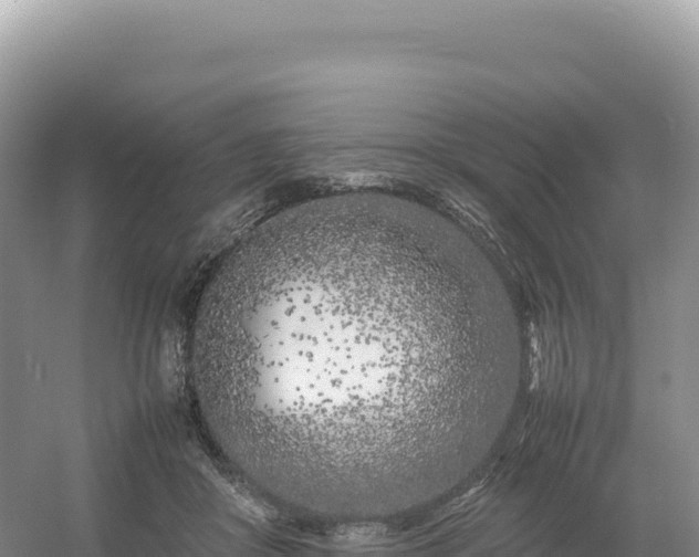 X0000054390410200508051652