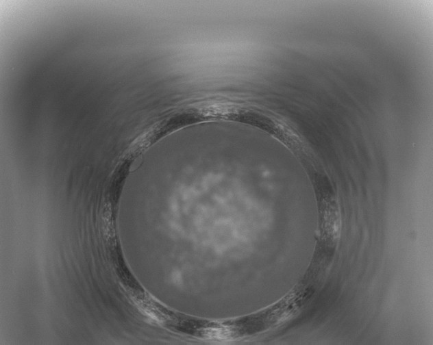 X0000054390411200508051652