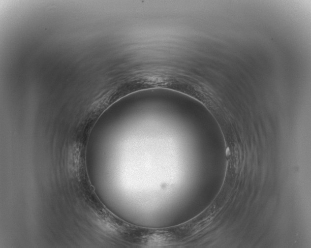 X0000054390412200508051652