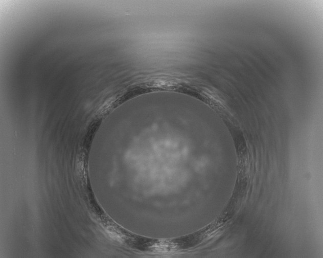 X0000054390415200508051652