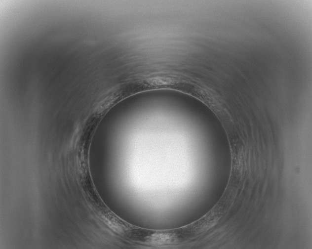 X0000054390418200508051652