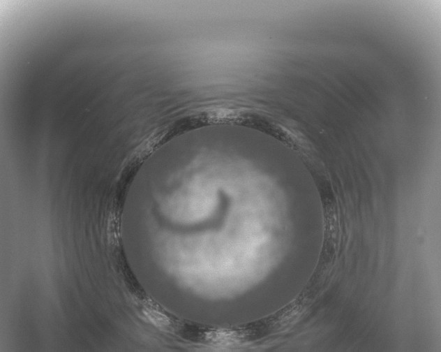 X0000054390419200508051652