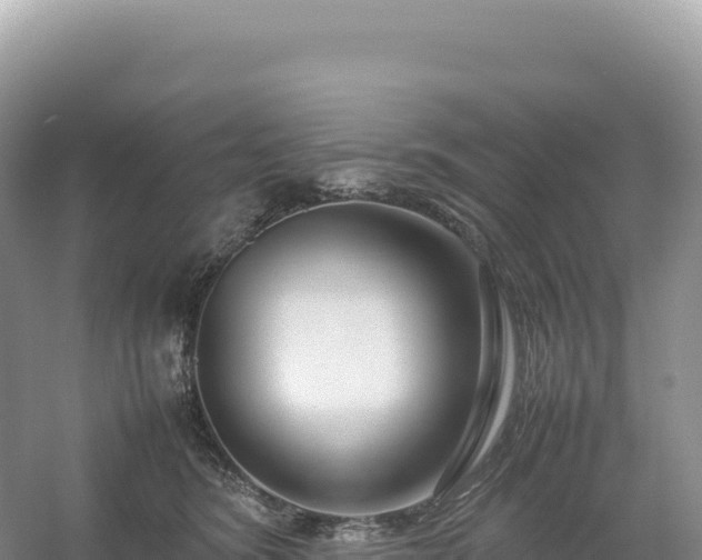 X0000054390420200508051652