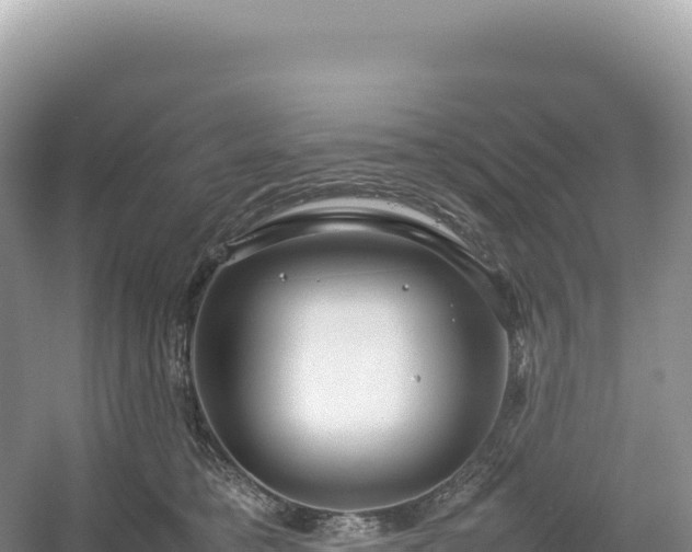 X0000054390421200508051652