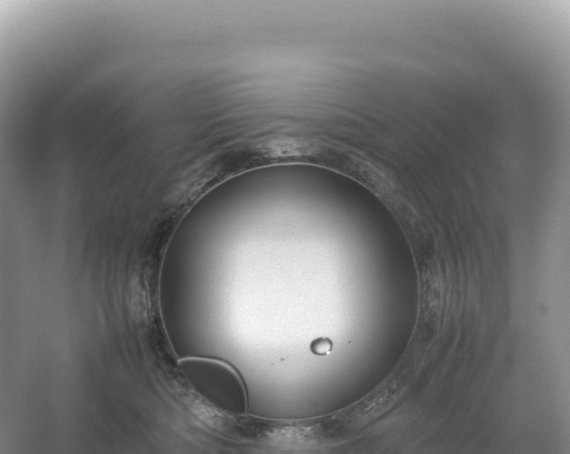 X0000054390422200508051652