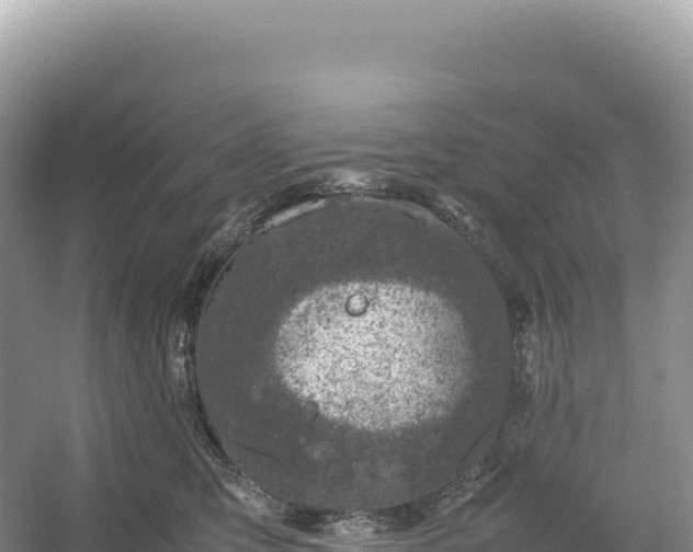 X0000054390423200508051652