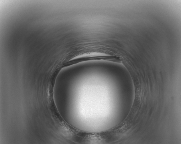 X0000054390424200508051652