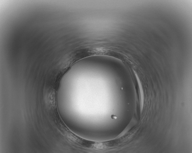 X0000054390425200508051652