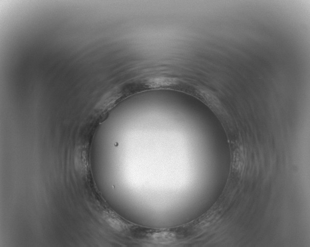 X0000054390426200508051652