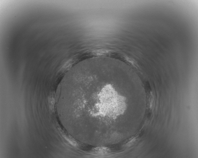 X0000054390427200508051652