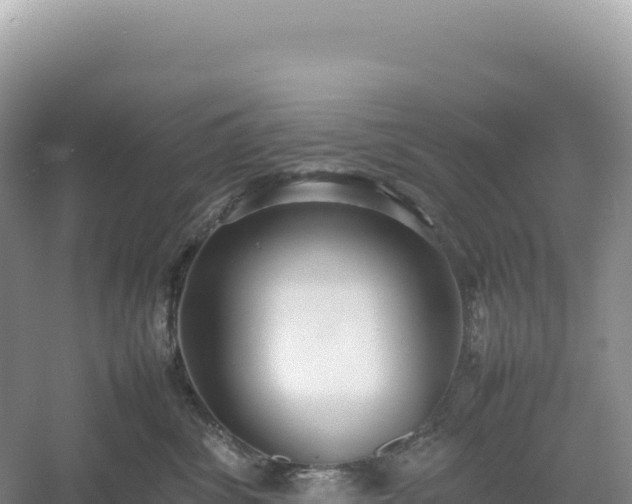 X0000054390428200508051652