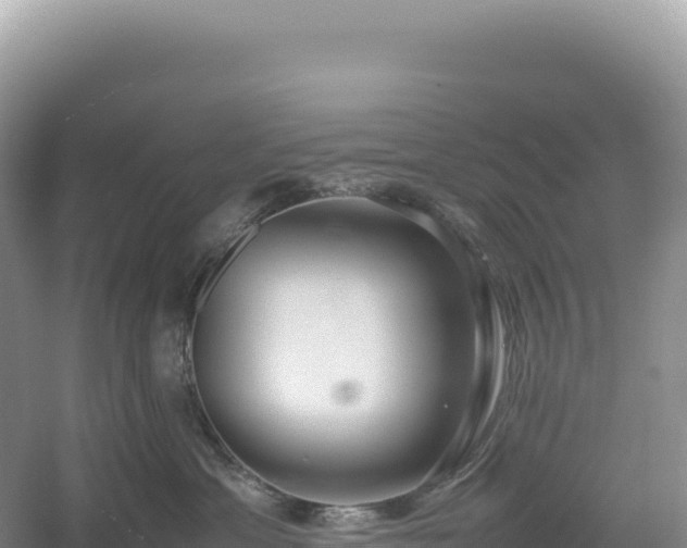 X0000054390429200508051652