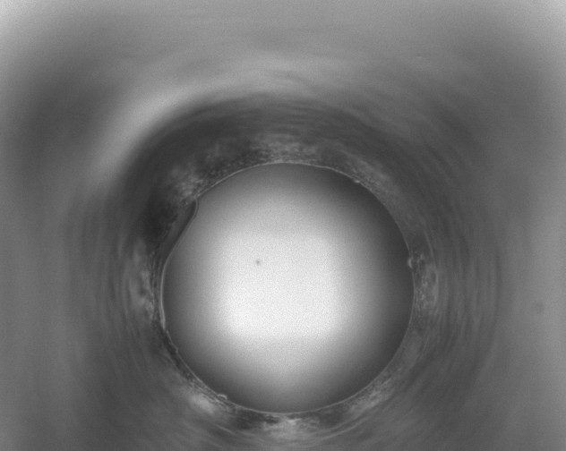 X0000054390430200508051652