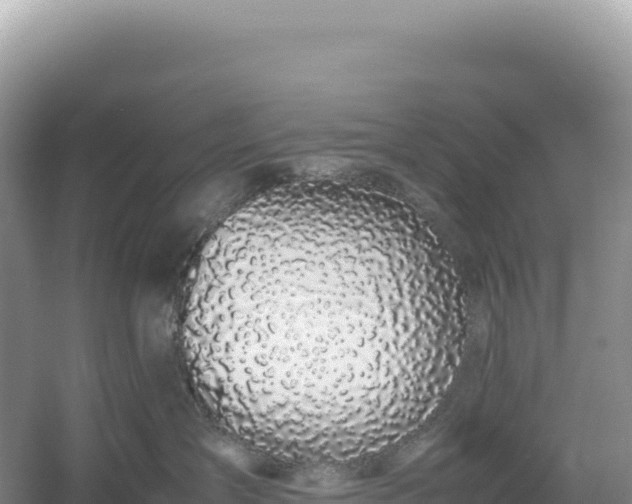 X0000054390431200508051652