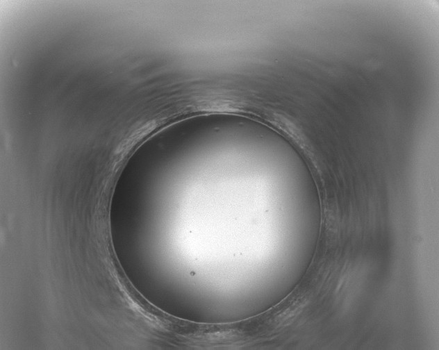 X0000054390433200508051651