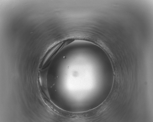 X0000054390434200508051651