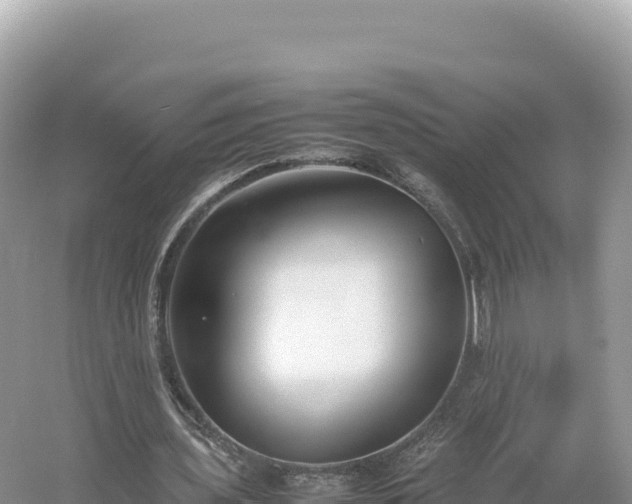 X0000054390435200508051651