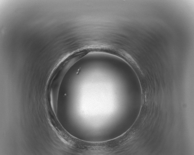 X0000054390436200508051651