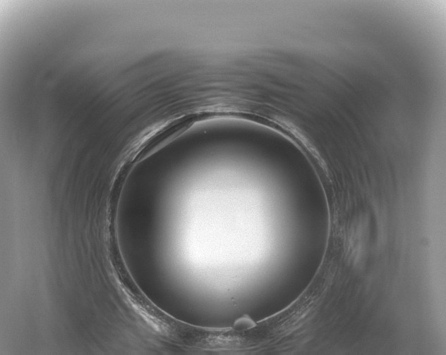 X0000054390437200508051651