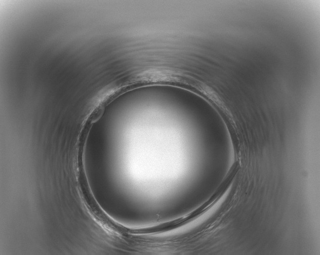 X0000054390438200508051651