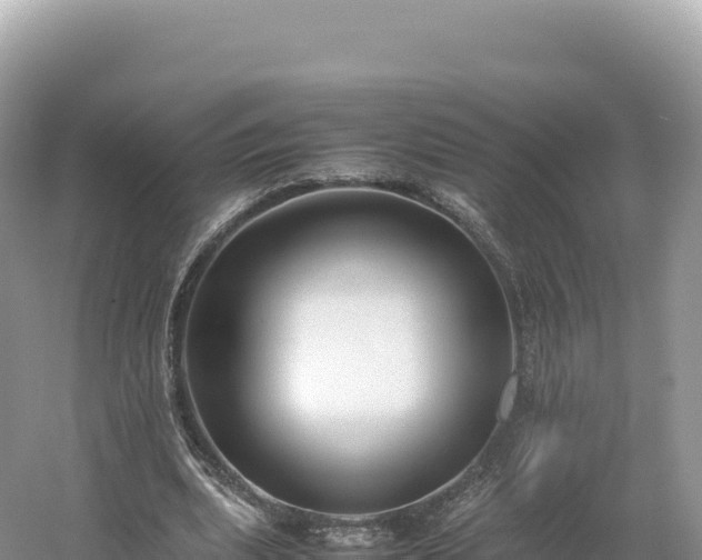 X0000054390439200508051651