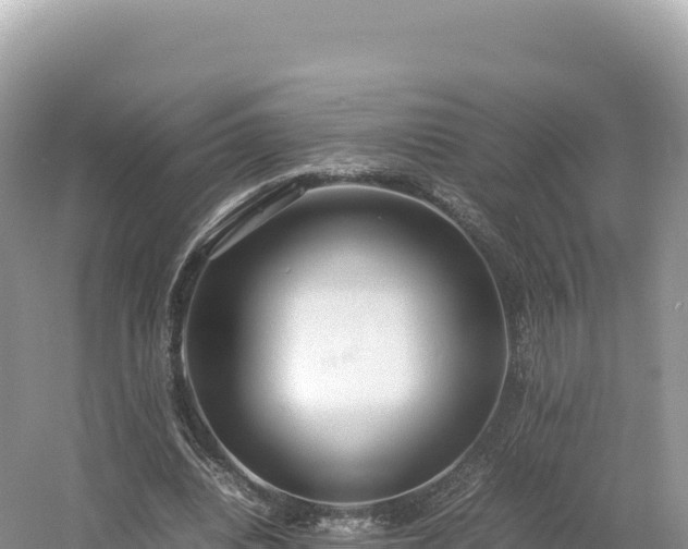 X0000054390440200508051651