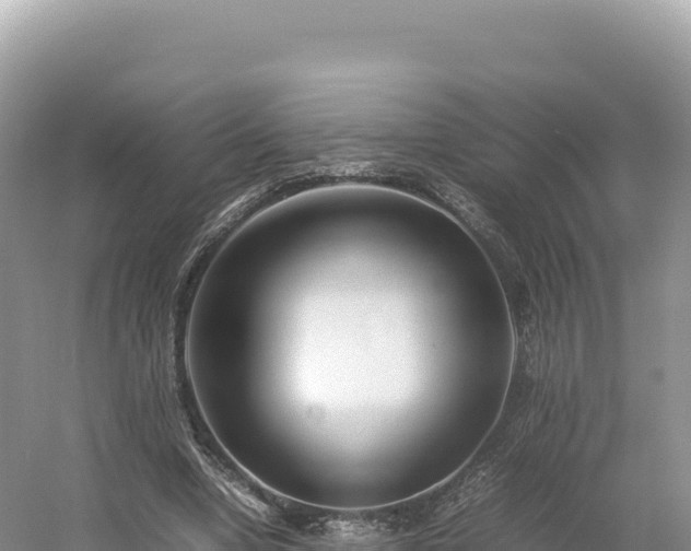 X0000054390442200508051651