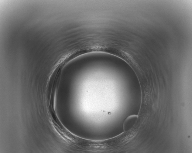 X0000054390443200508051651