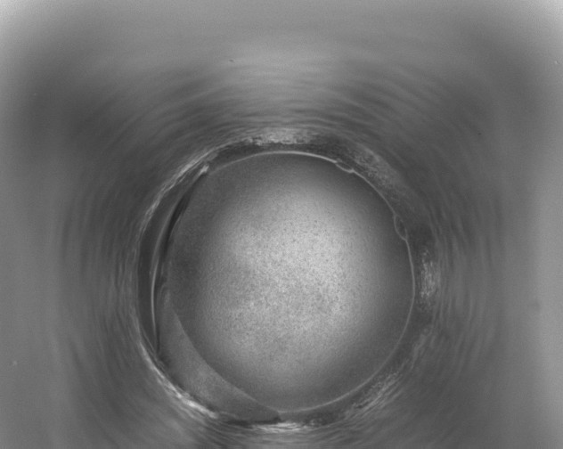 X0000054390444200508051651