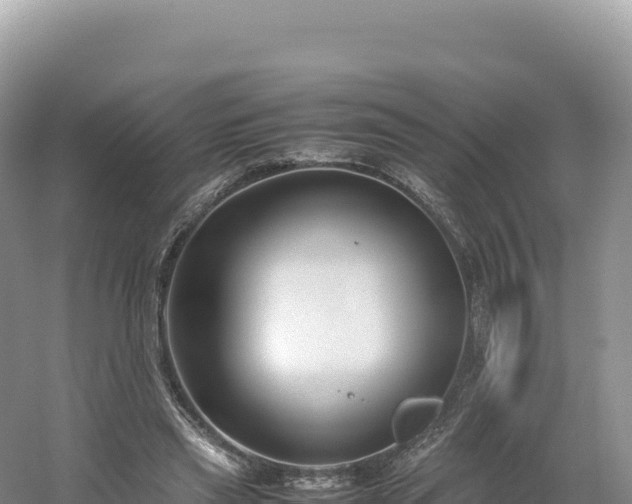 X0000054390445200508051651