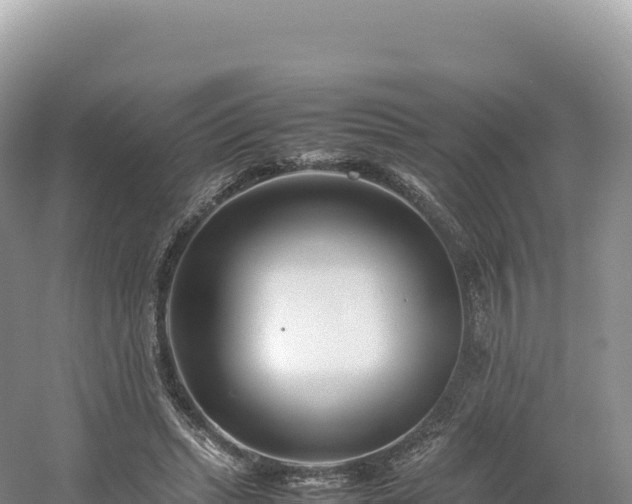 X0000054390447200508051652