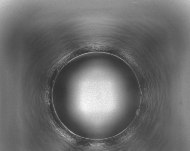 X0000054390450200508051652