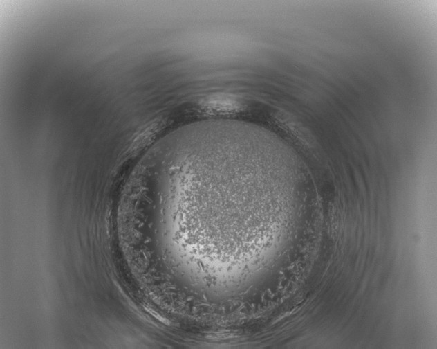 X0000054390451200508051652