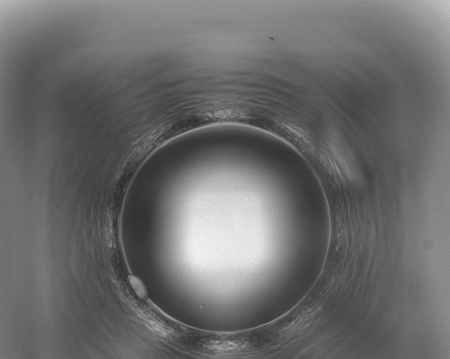 X0000054390453200508051652