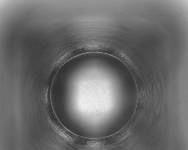 X0000054390454200508051652