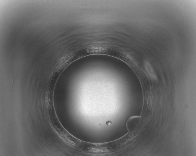 X0000054390455200508051652