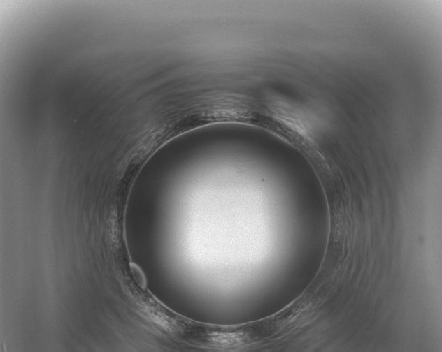 X0000054390457200508051652