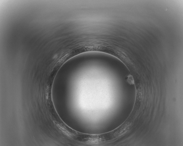 X0000054390458200508051652