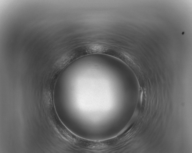 X0000054390459200508051652