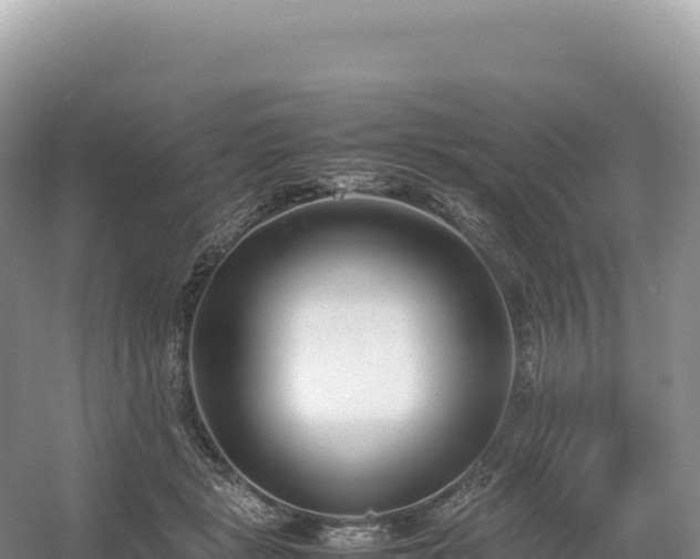 X0000054390461200508051652