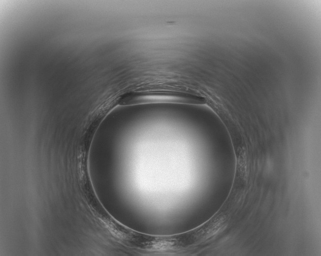 X0000054390462200508051652