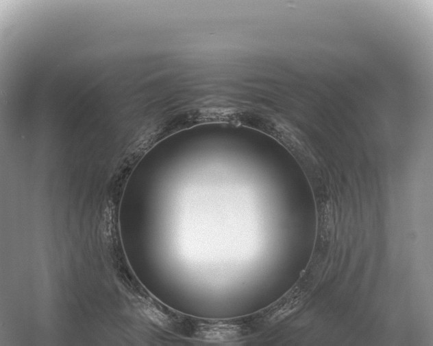 X0000054390463200508051652