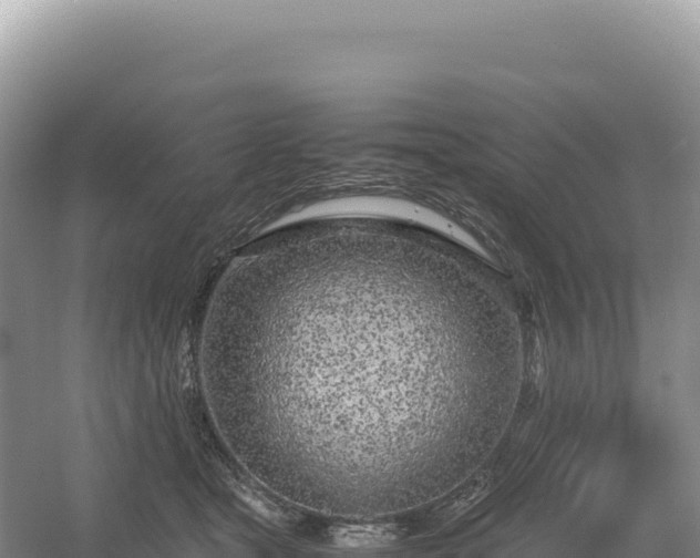 X0000054390465200508051652