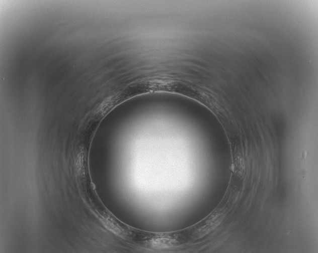 X0000054390468200508051652