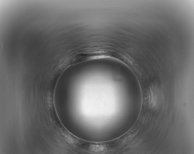 X0000054390469200508051652