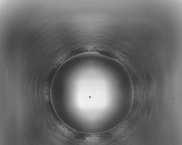 X0000054390470200508051652