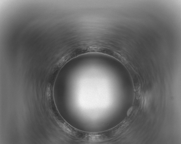 X0000054390472200508051652